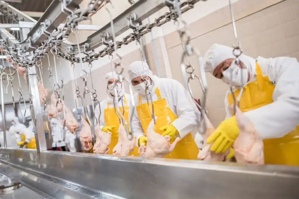 Importancia de la protección térmica para empleados en ambientes industriales fríos Bajo Cero Uniformes Térmicos Ropa