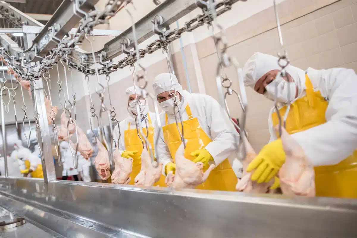 Importancia de la protección térmica para empleados en ambientes industriales fríos Bajo Cero Uniformes Térmicos Ropa